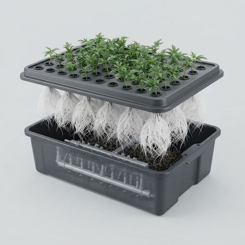 64 Site Aeroponic Cloning Machine